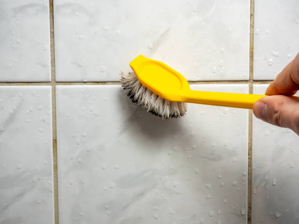 Best Black Mold Removal  in Ashton, ID