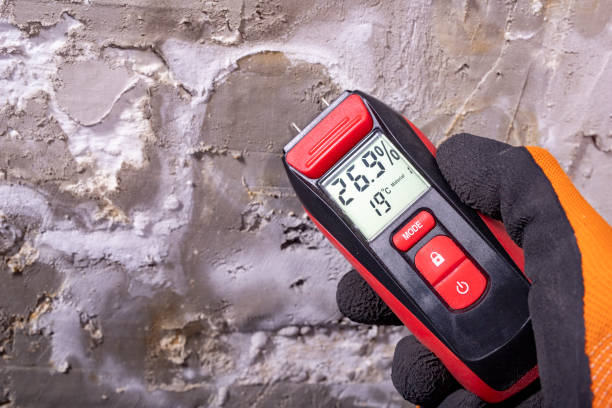 Best Mold Removal Process  in Ashton, ID