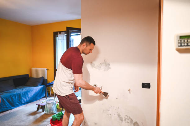 Best Attic Mold Removal  in Ashton, ID